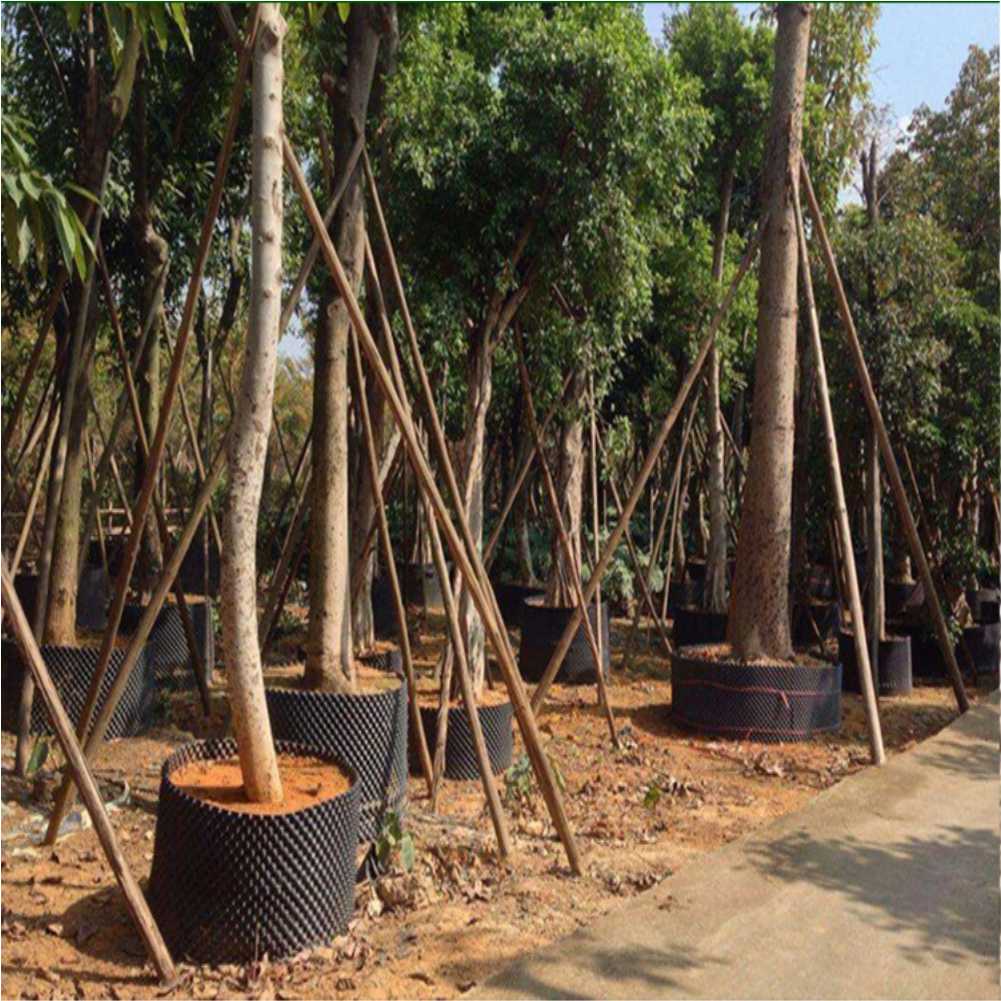 กระถางปลูกต้นไม้แบบเร่งการเจริ - Outdoor Furniture Metal บทวิจารณ์และราคา
